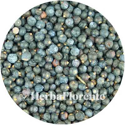 Juniper Berries - Juniper communis - Whole