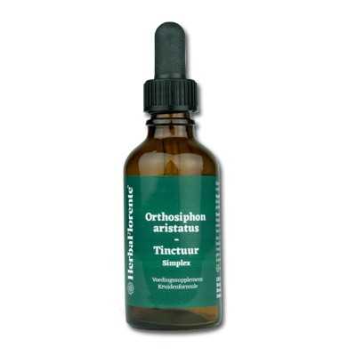 Cat's whiskers Tincture - Orthosiphon aristatus Tincture