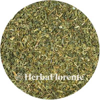 Green Tea Mint Herbal Tea