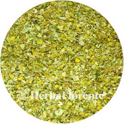 Moringaboom - Moringa oleifera - (Blad Gesneden)