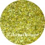 Moringa Tree - Moringa oleifera - (Leaf Cut)