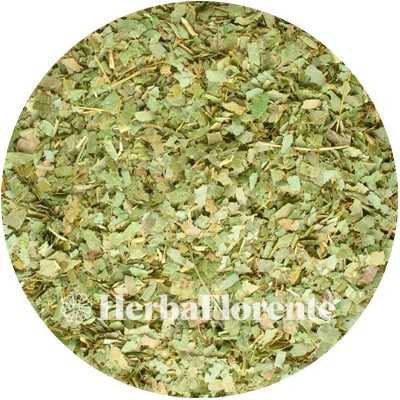 Horny Goat Herb - Yin Yang Huo - Epimedium brevicornum