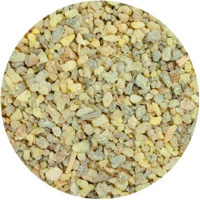 Indische Wierook - Boswelia serrata