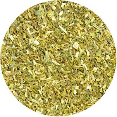 Mélilot Jaune - Melilotus officinalis