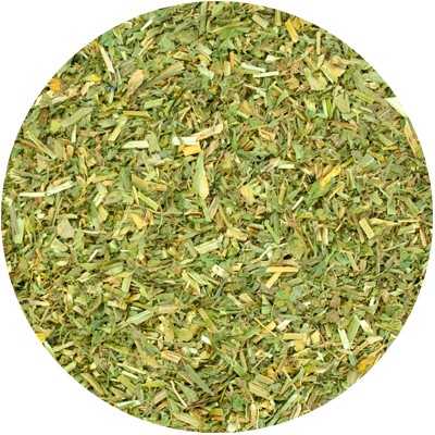 Luzerne Cultivée - Medicago sativa