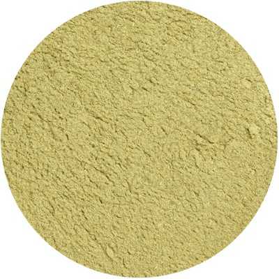 Alsemkruid Kruid Gemalen - Artemisia absinthium Hb. Pulv.