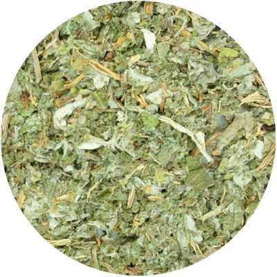 Artisjok Blad - Cynaria scolmycus - Geschnitten