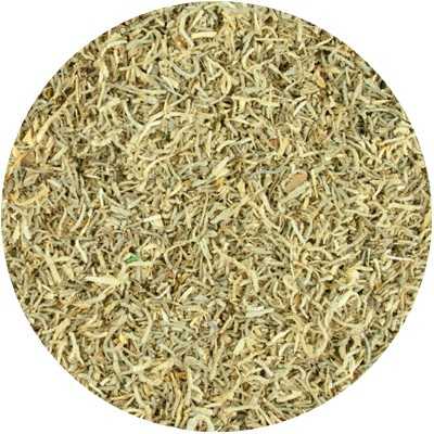 Bartflechte - Usnea barbata