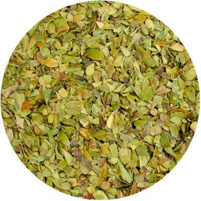 Berendruifblad Gesneden - Arctostaphylos uva-ursi Fol. Conc.