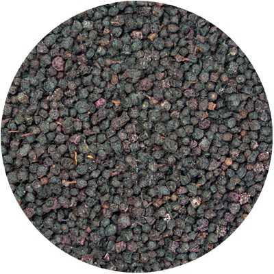 Blue Berrie - Vaccinium mytrillus, Frucus myrtilli