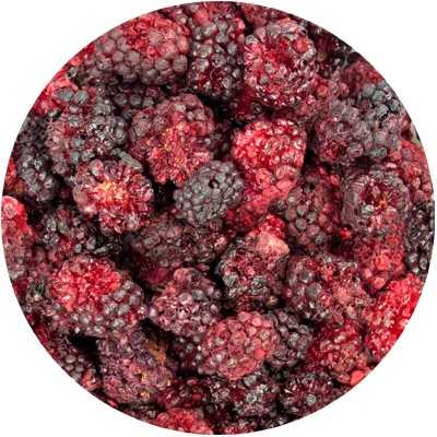 Blackberry (Fruit) - Rubus fructicosus, Frucus Rubi