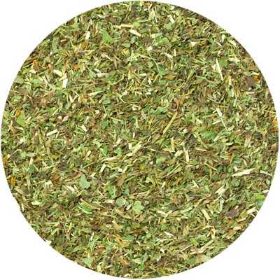 Zitronenmelisse - Melissa officinalis