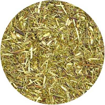 Citroenkruid Kruid Gesneden - Artemisia abrotani Hb. Conc.