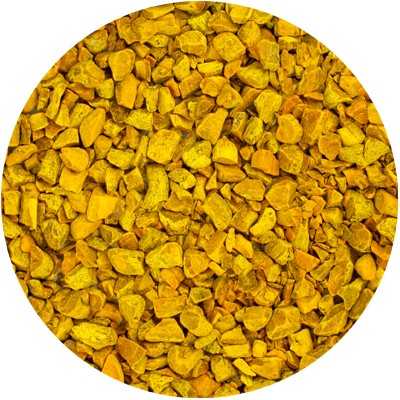 Curcuma long. (Geelwortel) Wortel Gesneden - Curcumae longae Rhiz. Conc.