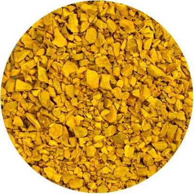 Curcuma zanth. - Curcumae zanthorrhizae - Coupée