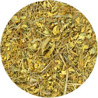 Stiefmütterchenkraut (Blüten) - Viola tricolor