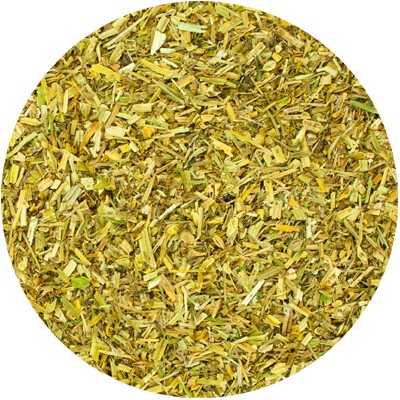 Pensée tricolore Herbe - Viola tricolor - Coupée