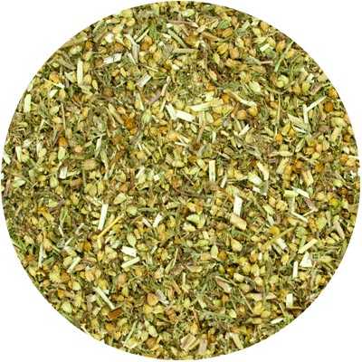 Schafgarbe - Achillea millefolii