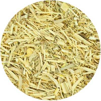 Éleuthérocoque (Ginseng Sibérien) - Eleutherococcus - Coupée