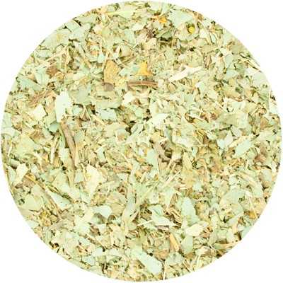 Eukalyptus - Eucalypti globulus