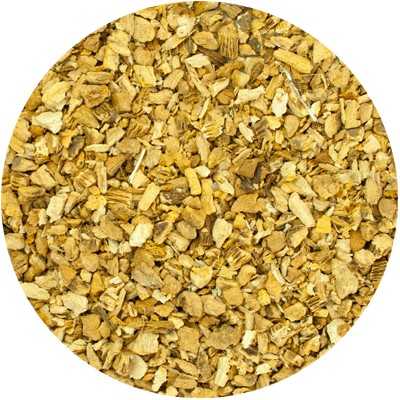 Gentian (Yellow) - Gentiana lutea