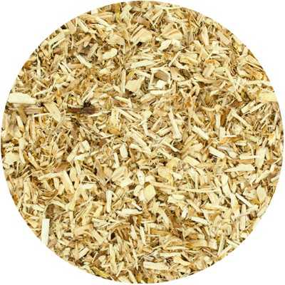 écorce d'orme - Ulmi camp. - Coupée