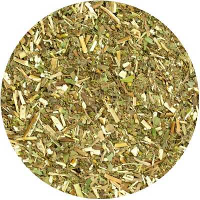 Goldenrod - Solidago virgaurea - Cut