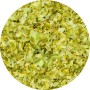 Houblon - Humulus lupulus