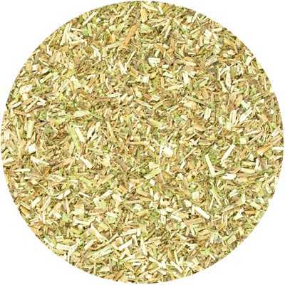 Hysope (Herbe Sacrée) - Hyssopus officinalis