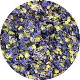 Malve gross- Malvaceae Sylvestris