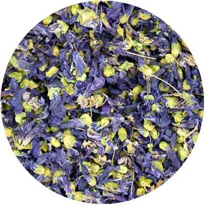 Mauve Grand - Malvacea Sylvestris