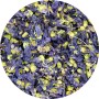 Kaasjeskruid Groot Bloem Heel - Malvacea Sylvestris Flor. Tot.
