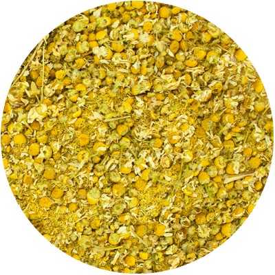 Kamillen (Blumen) - Matricaria recutita, Chamomillae europ. - Ganz