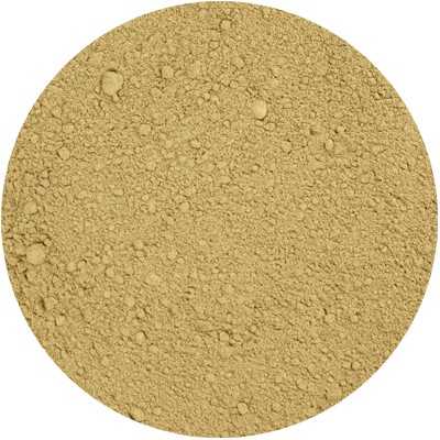 Seetang - Laminariales