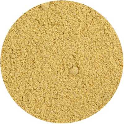 Coriander - Coriandrum sativum