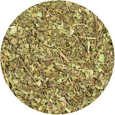 Kumis Kutjing - Cat's whiskers - Orthosiphon aristatus - Cut