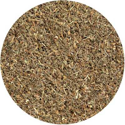 Droséra longue - Droserae longifolia