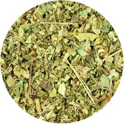 Lungenkraut - Pulmonaria officinalis