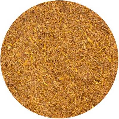 Mais Stempel Gesneden - Zea mays Conc.