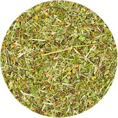 Ehrenpreis - Veronica officinali