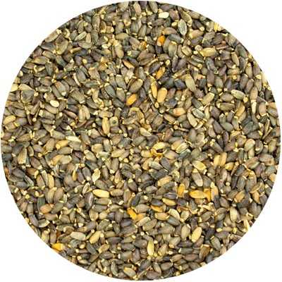 Mariadistel zaad Heel - Sylibum marianum, Cardui Mariae Sem. Tot.