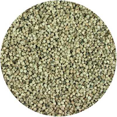 Gattilier - Vitex agnus castus