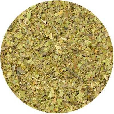 Noyes - Juglans regia