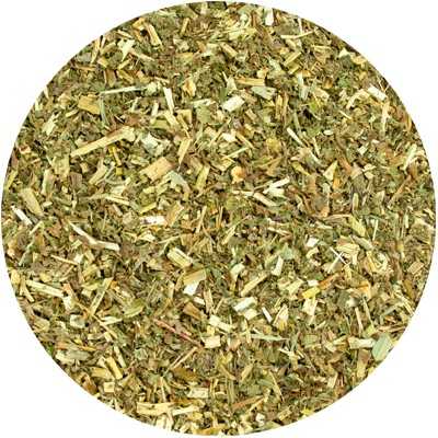 Reine des Prés - Filipendulae ulmaria