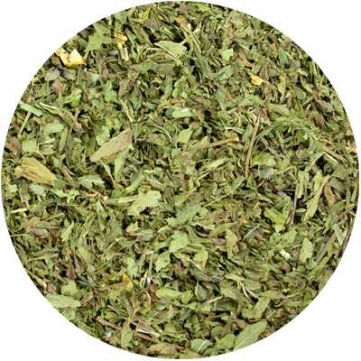 Pfefferminz - Menthae piperita