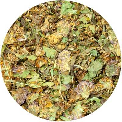 Trèfle rouge (Fleur) - Trifolii Rubr. pratense - Entières