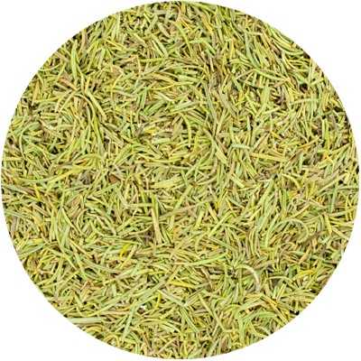 Rozemarijn Blad Gesneden - Rosmarini officinalis Fol. Conc.