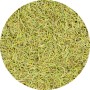 Rosmarin - Rosmarini officinalis - Geschnitten