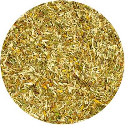 St John's Wort - Hyperici perforatum