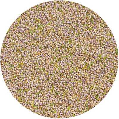 Struikheide Bloem Gerist - Erica vulgaris Flor. Tot.